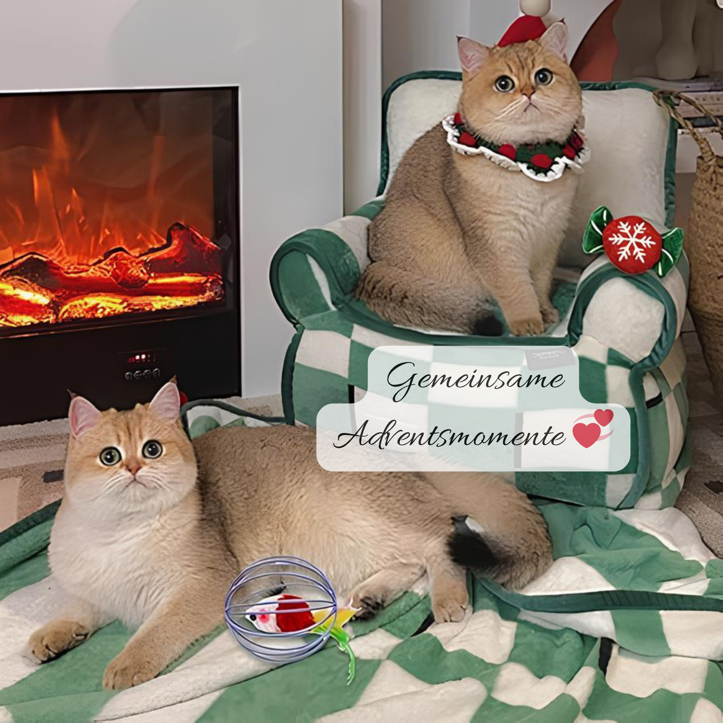 Glückstiere Premium Adventskalender für Katzen