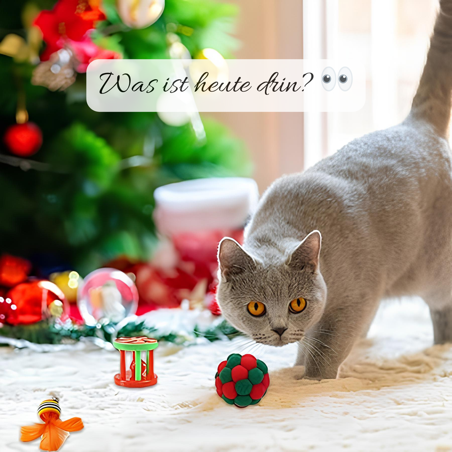 Glückstiere Premium Adventskalender für Katzen