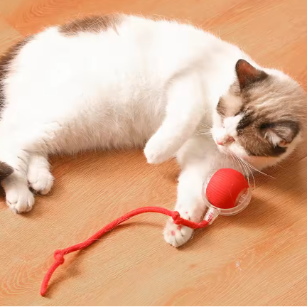 Glückstiere - SmartBall