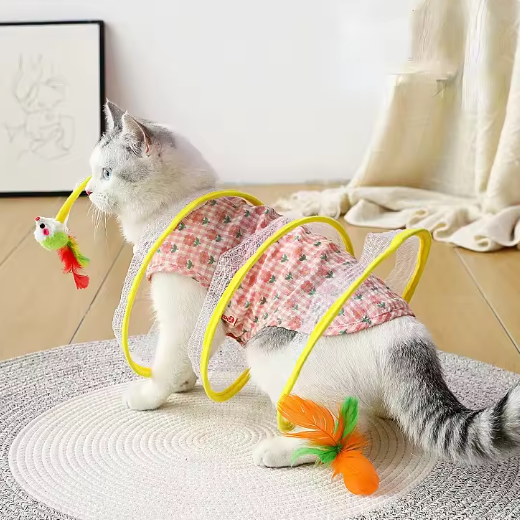 Glückstiere – Wirbelspaß